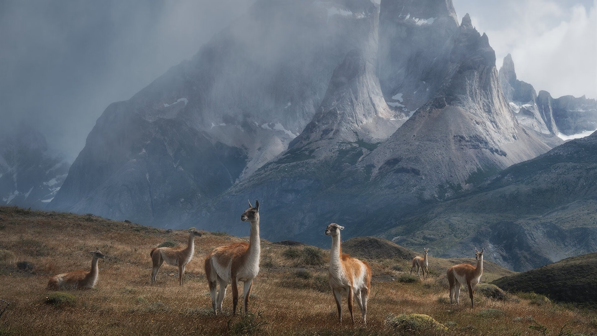 墨西哥男足在巴黎奥运会比赛中以3-0击败几内亚，奥运会男足墨西哥队