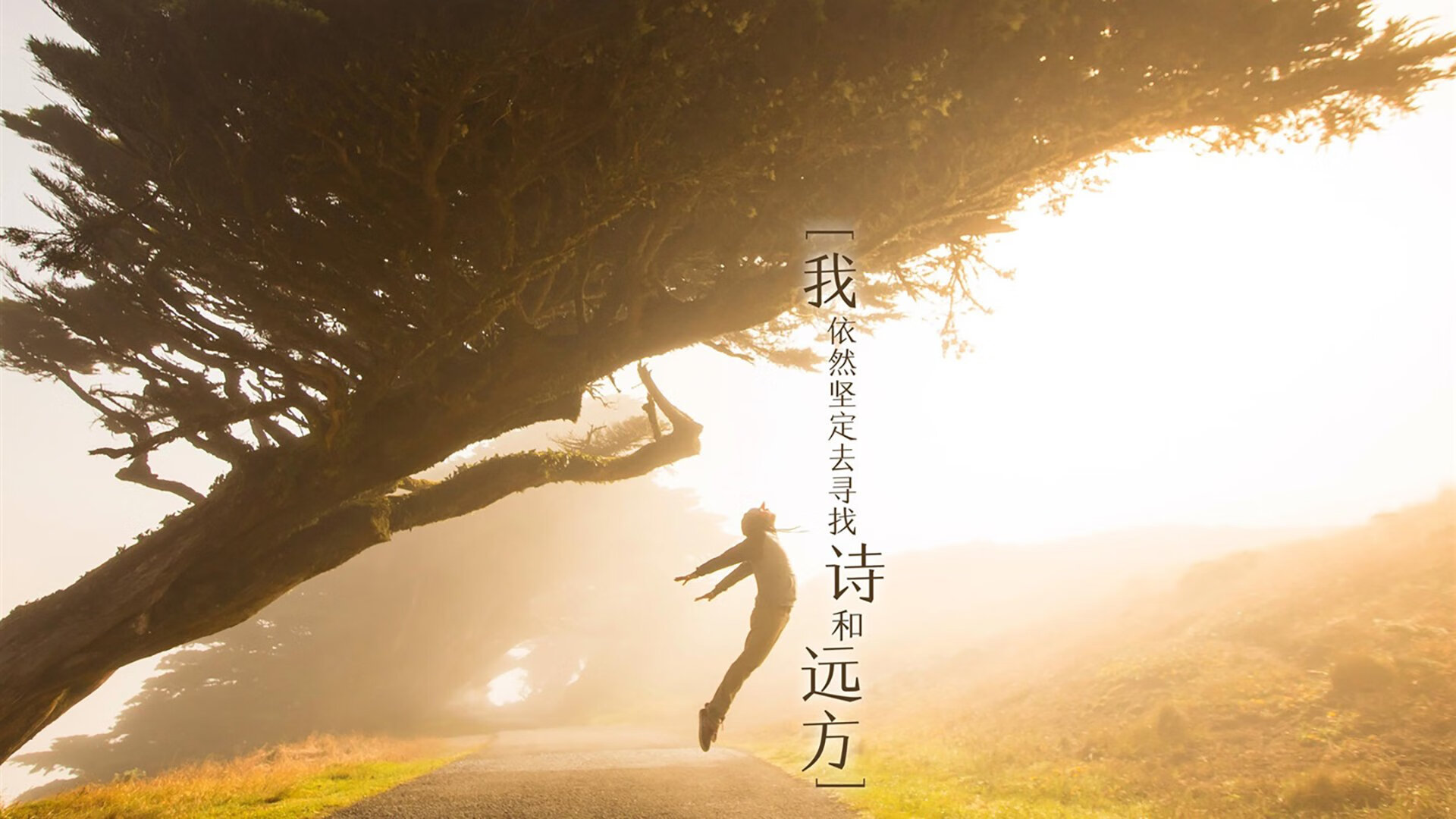 广场舞促进中外文化交流与合作，广场舞文化的问题及解决措施